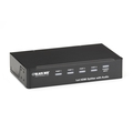 HDMI Splitters with Audio