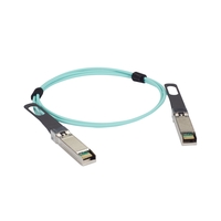 SFP-25G-AOC1M-BB: 1.0 m