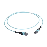 FOTC20M3MP24AQ-10R2: 24-Strand, 10 m