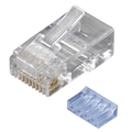 CAT6 Modular Plug