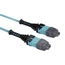 FOTC10M3MP24AQ-10R2: 24-Strand, 10 m