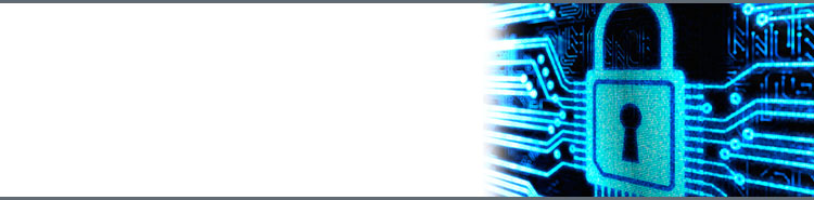 Secure KVM switches